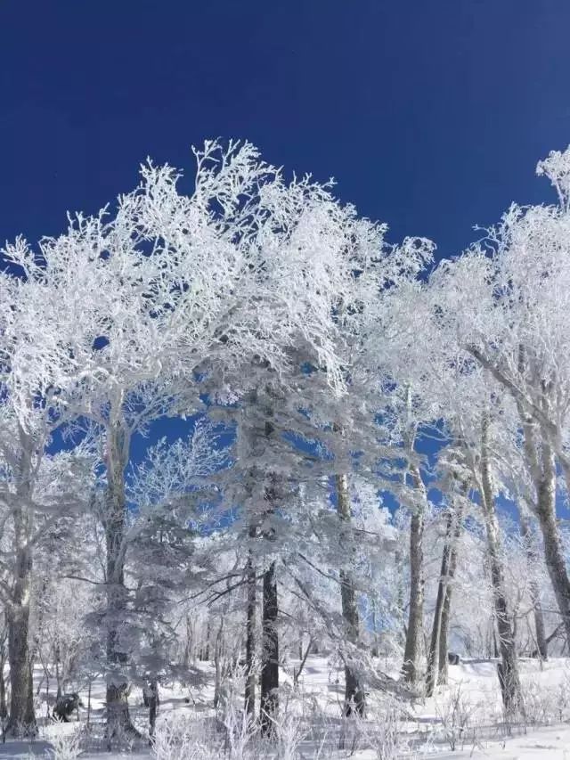 澳门沙金在线平台