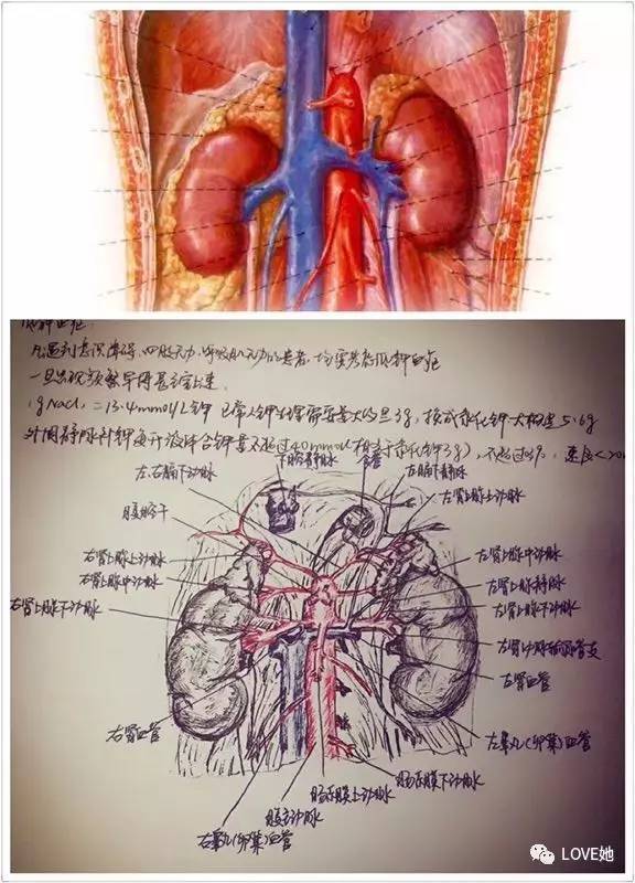 澳门沙金在线平台