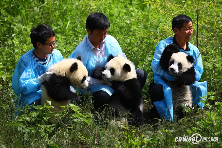 澳门沙金在线平台