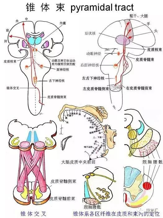 澳门沙金在线平台