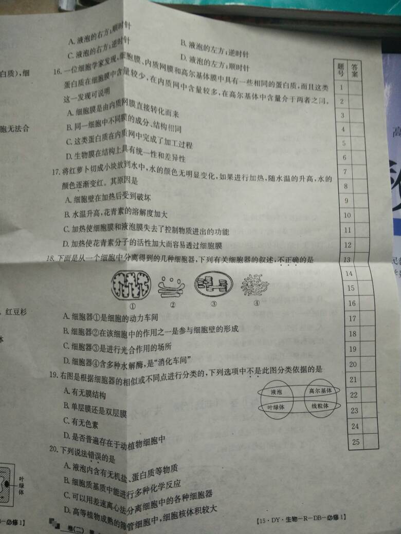 澳门沙金在线平台