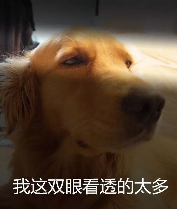 澳门沙金在线平台