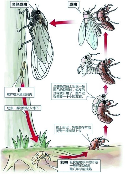 
面向新闻媒体的命名实体识别技术|澳门沙金在线平台